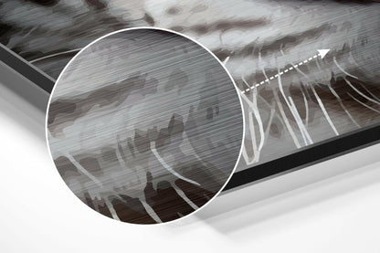 White Tiger Brushed Aluminium Dibond Wall Art